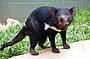 2 Day Combo Tour - Green Island & Kuranda