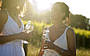 1 Day Hunter Valley Wine & Cheese Tour
