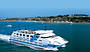 Two Day Great Ocean Road & Phillip Island Wildlife Adventure with Koala Photo