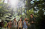 Great Ocean Road & Rainforest Day Tour