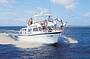 MV Sunkist