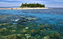 Join the free marine biologist snorkel tour