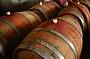 Wine tasting straight from the barrel