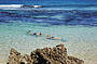 Snorkel pristine waters of Shark Bay