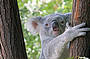 Go Wild 2 Day/1 Night @ Cape Trib Beach House (Dorm Share)