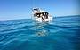 MV Sunkist on the reef