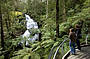 Great Ocean Road & Rainforest Day Tour